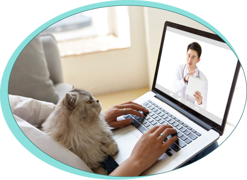 petia-site-2025 telemedicina pet