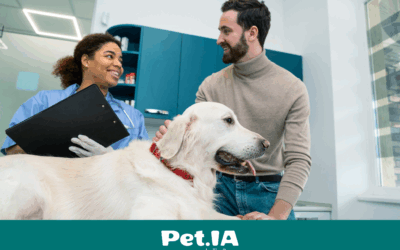 A importância do atendimento em clínicas veterinárias: como encantar os tutores