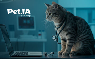 Além do Estetoscópio: a Necessidade da Visão de Mercado na Medicina Veterinária Moderna