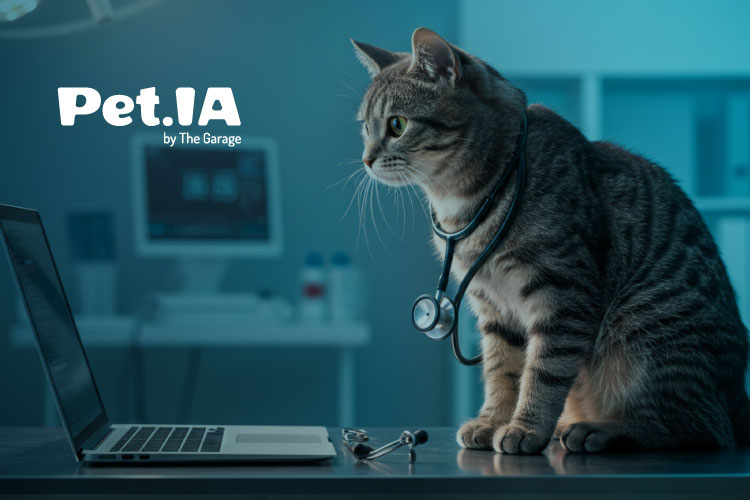 Além do Estetoscópio: a Necessidade da Visão de Mercado na Medicina Veterinária Moderna