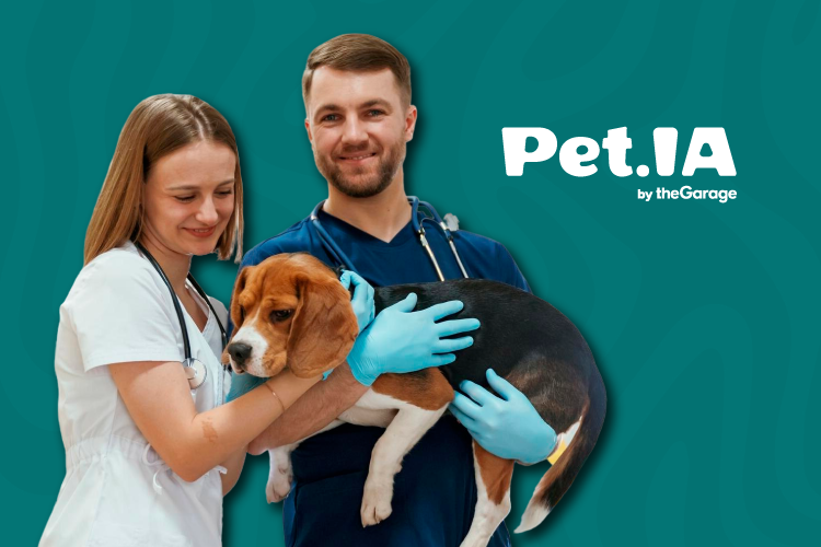 petia app clinicas veterinárias
