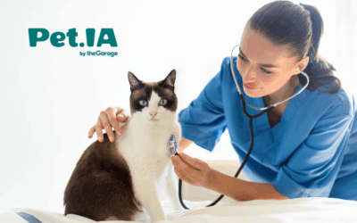 Marketing Pet-Vet: dicas para reter tutores e atrair novos clientes