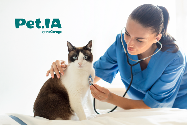 marketing pet-vet