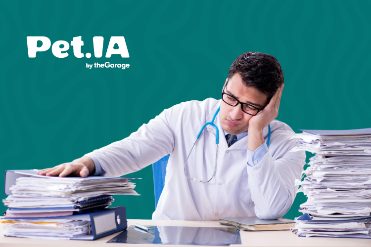 PETIA-1712---750x500